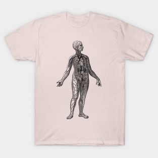 Human Vascular System Diagram T-Shirt